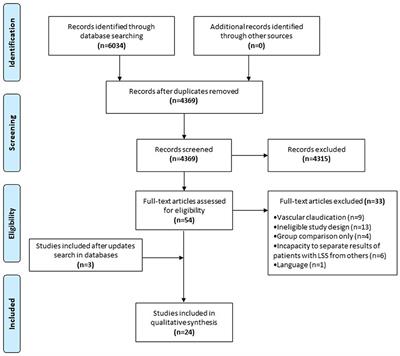 Physical and Psychological Factors Associated With Walking Capacity in Patients With Lumbar Spinal Stenosis With Neurogenic Claudication: A Systematic Scoping Review